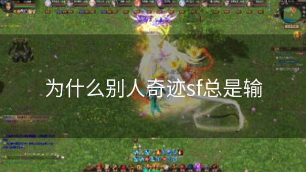 为什么别人奇迹sf总是输 为什么别人奇迹sf总是输