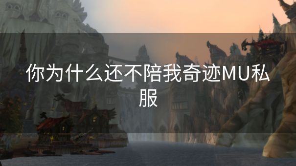 你为什么还不陪我奇迹MU私服