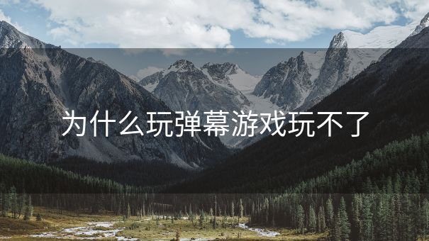为什么玩弹幕游戏玩不了