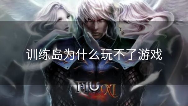 训练岛为什么玩不了游戏