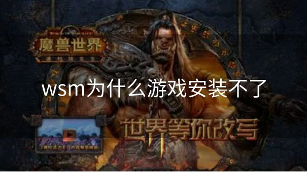 wsm为什么游戏安装不了