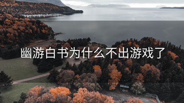 幽游白书为什么不出游戏了