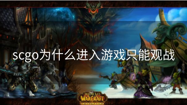 scgo为什么进入游戏只能观战