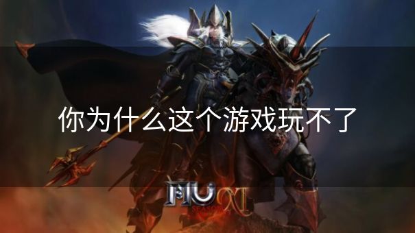 你为什么这个游戏玩不了