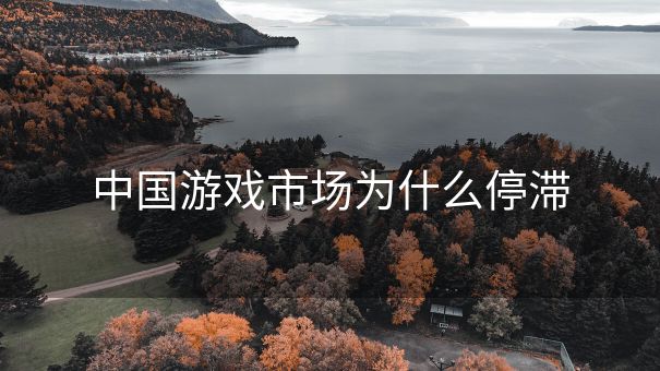 中国游戏市场为什么停滞