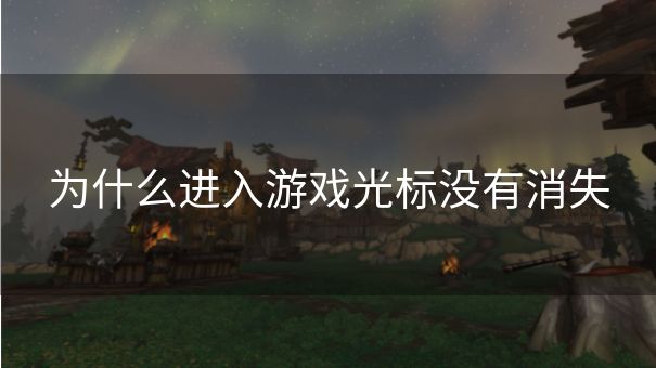 为什么进入游戏光标没有消失