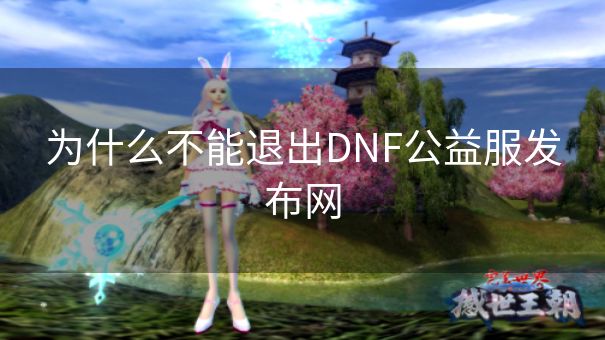 为什么不能退出DNF公益服发布网