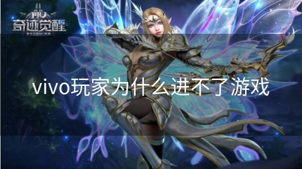 vivo玩家为什么进不了游戏
