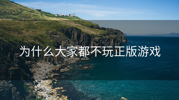 为什么大家都不玩正版游戏