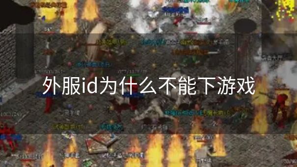 外服id为什么不能下游戏