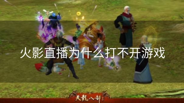 火影直播为什么打不开游戏