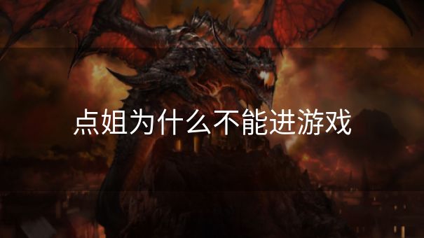 点姐为什么不能进游戏