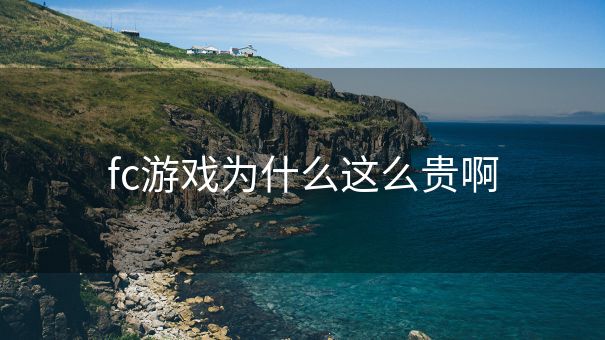 fc游戏为什么这么贵啊