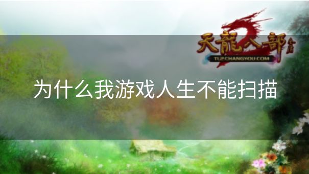 为什么我游戏人生不能扫描