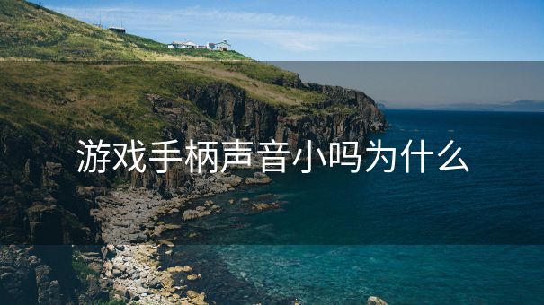 游戏手柄声音小吗为什么
