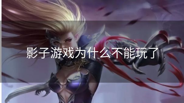 影子游戏为什么不能玩了