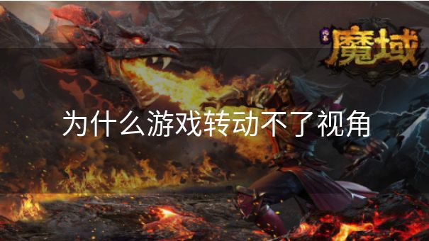为什么游戏转动不了视角