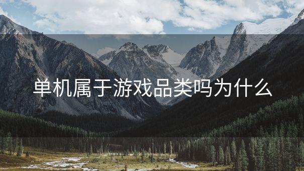 单机属于游戏品类吗为什么