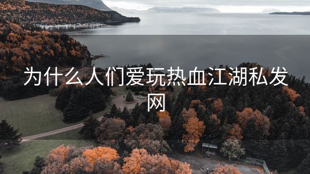 为什么人们爱玩热血江湖私发网
